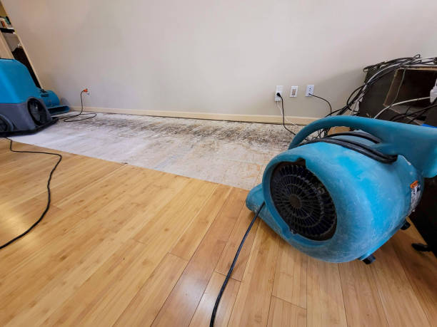 Reliable Basement Flood Cleanup contractor in Chino Hills, CA by Hirex Water Damage