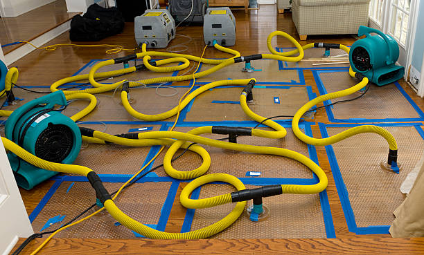 Professional Basement Flood Cleanup technician working in Chino Hills, CA